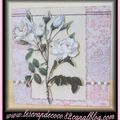 Carte 3D roses blanches