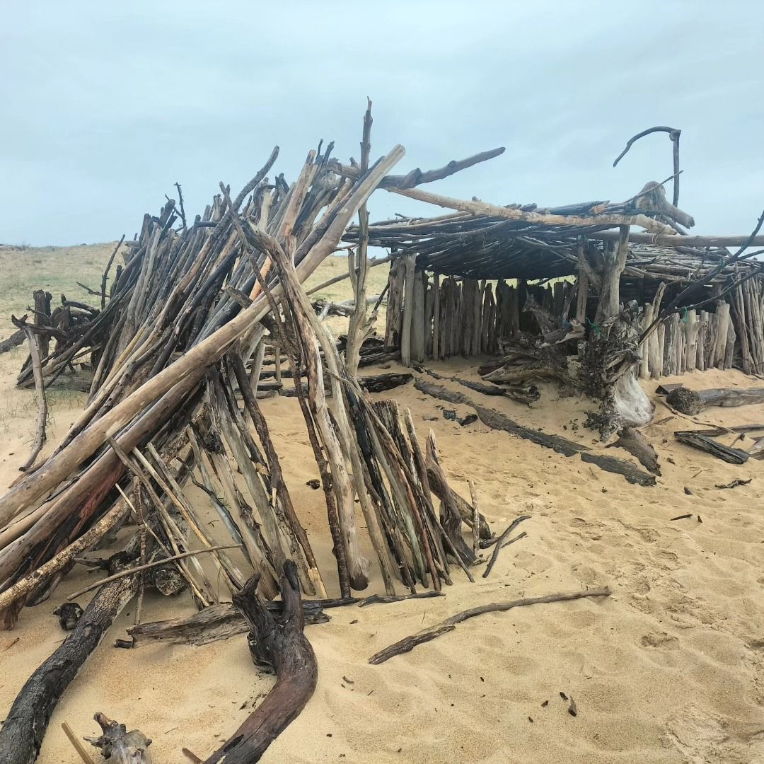Tarnos, plage du métro, villa en bois flotté, mars 2025, insta (40)