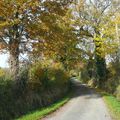 Promenade dans les Deux-Sèvres 