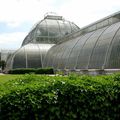 Kew, the Royal Botanic Gardens
