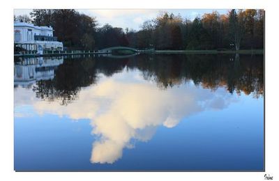 Vie d'un nuage