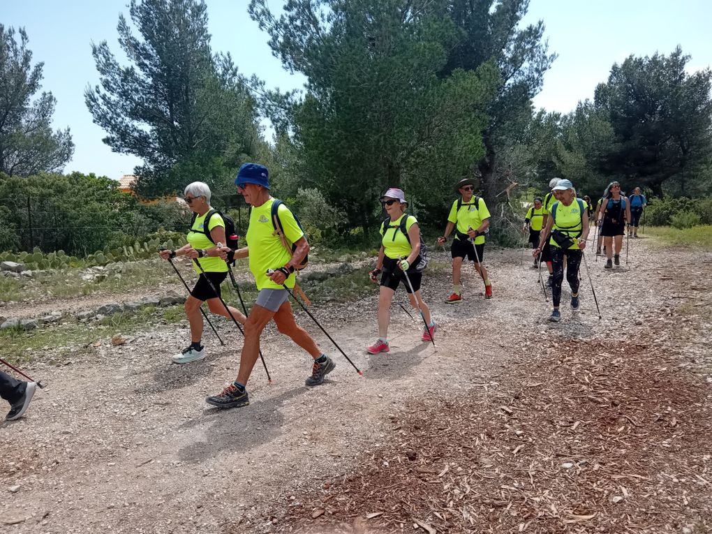 Sortie nature sportifs confirmés à Cassis le 8 mai 2025