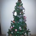 Mon beau sapin, roi des salons ... # 9