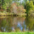 L'Etang de SAINTE FOY (suite n° 3... et fin)....