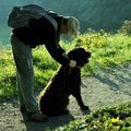 LA SAINT HUBERT DU MONT DES CAT " LES CHIENS "