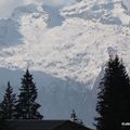 celle qui avait laissé passer le mois de février sans bloguer ....