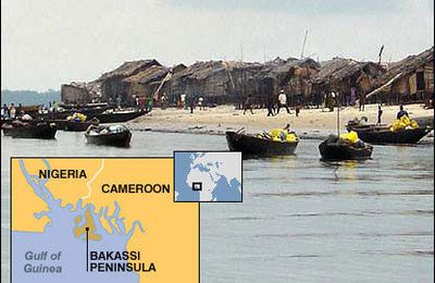 Dossier Bakassi: Akyere Orimissian Universitaire nigérian, sociologue