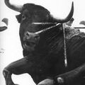 Lucien CLERGUE (né en 1934) Tauromachie, années 1970-1980 