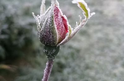 Bonne année à venir !