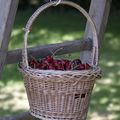 Le temps des cerises