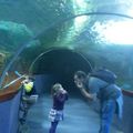 Aquarium de San Sebastian 