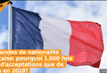 Demandes de nationalité française: pourquoi 1.500 fois plus d’acceptations que de refus en 2019?
