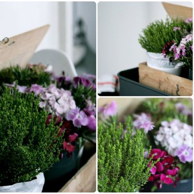 Notre rendez-vous du vendredi... 