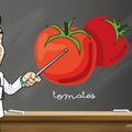 BIENFAITS DE LA TOMATE/LISTE DES SUPERS ALIMENTS