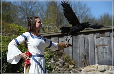 Au Bal des Oiseaux Fantômes