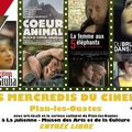 Les mercredis du cinéma