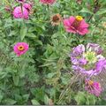 Le bouquet du week-end