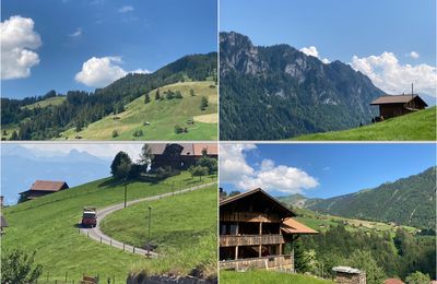 Un été au pied des Alpes - Quiétude d'un dimanche après-midi, dans la belle lumière du soir  