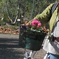 L'été indien et vélo - sensommer i Frankrike