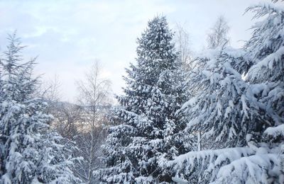 Que faire de toute cette neige ?