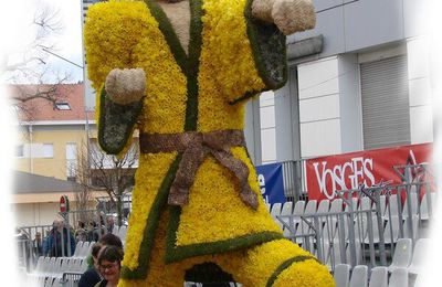 Fête des jonquilles (3)