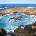 Point Lobos