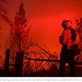 Incendies en Californie