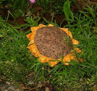Tournesol pique épingles