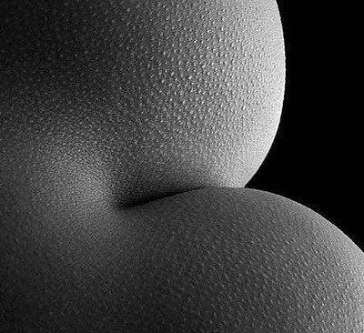 Les amants aimants...