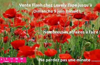 Vente Flash chez Lovely Tape