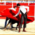 BOUJAN -TIENTA DE TOROS Y CAMPO POUR L'ETBM