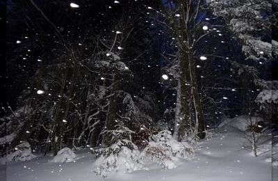  La photo du Samedi (162) : Les Vosges