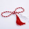 Martisor - 1st March