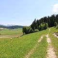 promenade dans le Vercors nouvel épisode