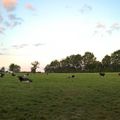 Une journée d'été à la ferme des 7 chemins