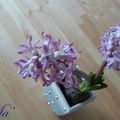 Le bouquet de la semaine #27