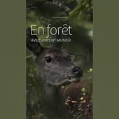 Exposition En forêt avec Vincent Munier