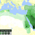 Berbères ou arabes Pourquoi il n'y a pas d'arabes au Maghreb