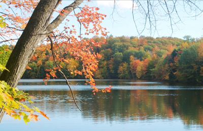 couleurs d'automne