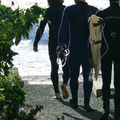 La plage des surfeurs