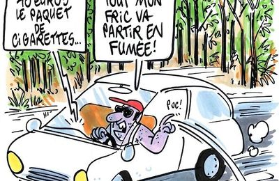 800 hectares de forêt brulés - par Schvartz - 24 juillet 2017