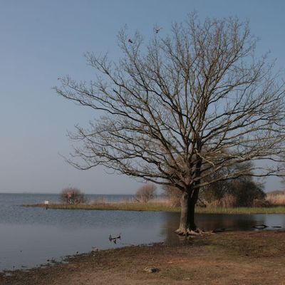 Un matin d'hiver ensoleillé, un lac