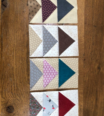 Nouveaux vols d’oies 