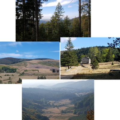 Chemin de St Guilhem le Désert - J9