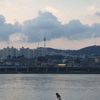 What to do in Seoul? 2/3