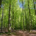 Printemps à Chabrières