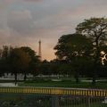 Jardin des Tuileries et Tour Eiffel