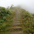 La Pelée sous la pluie