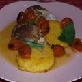 Filet mignon de porc aux tomates confites et ses galettes de polenta au basilic