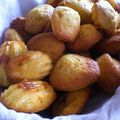 Mini madeleines aux pépites de caramel